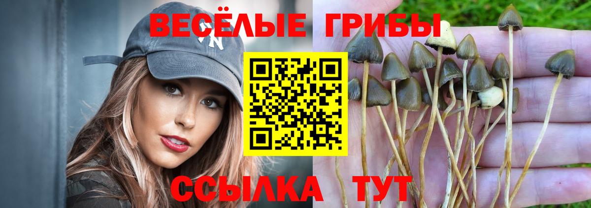 Псилоцибиновые грибы Magic Shrooms  Вход с VPN  Галлюциногенные грибы Psilocybine cubensis  Черкесск 